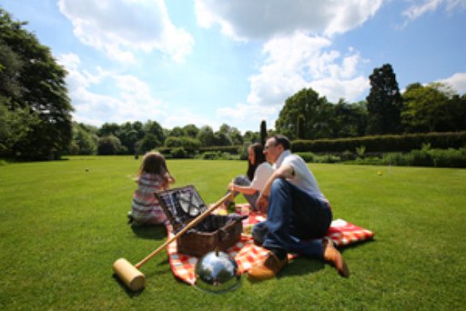 Family picnic on lawn